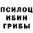 Галлюциногенные грибы GOLDEN TEACHER Fuad R