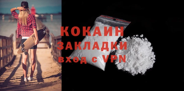 spice Богородск