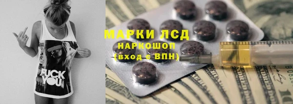spice Богородск
