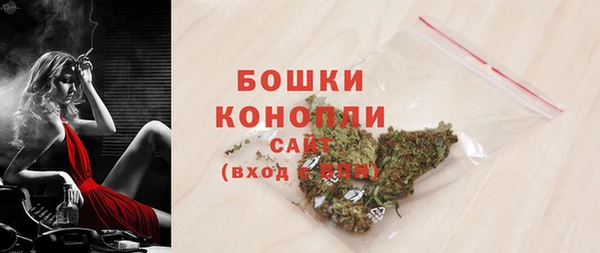 spice Богородск