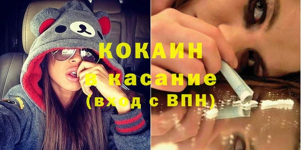 spice Богородск