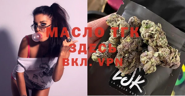spice Богородск