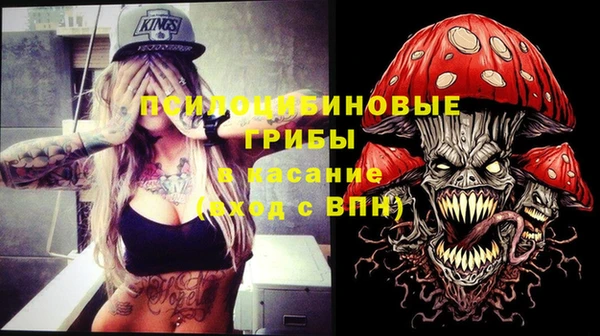 spice Богородск
